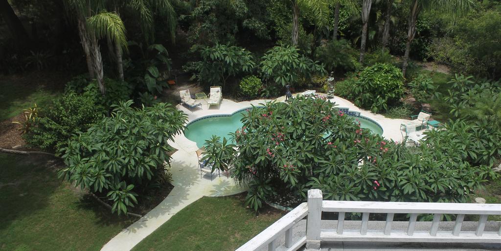 Heron Cay Lakeview Bed & Breakfast Mount Dora Exterior foto