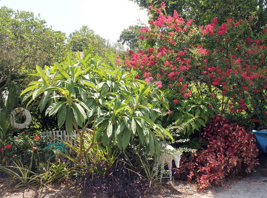 Heron Cay Lakeview Bed & Breakfast Mount Dora Exterior foto