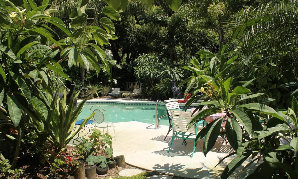 Heron Cay Lakeview Bed & Breakfast Mount Dora Exterior foto